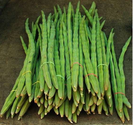 Drumstick (Each) (Approx. 25 g - 500 g)