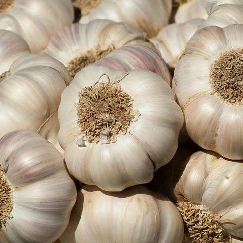 fresho! Garlic - 250 g